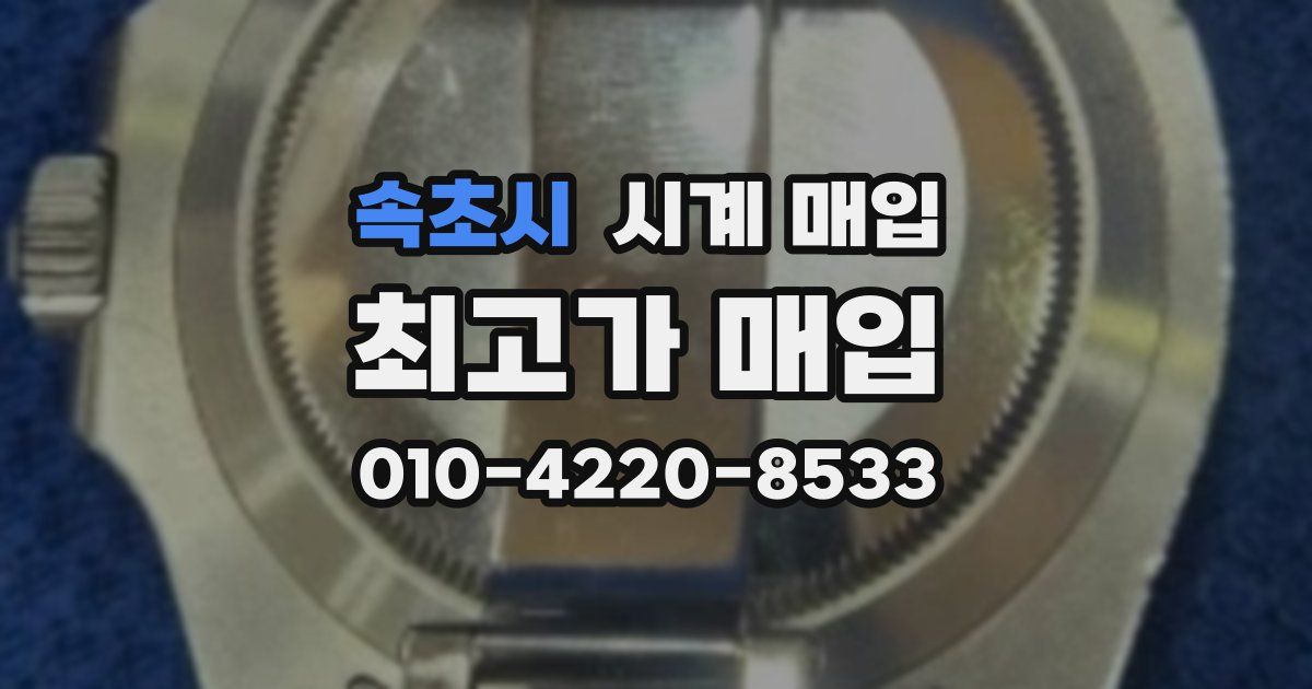 속초시 시계 매입