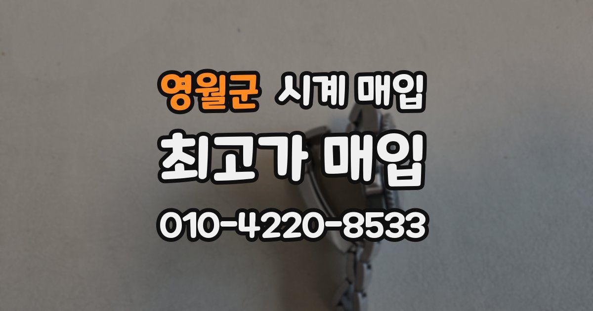 영월군 시계 매입