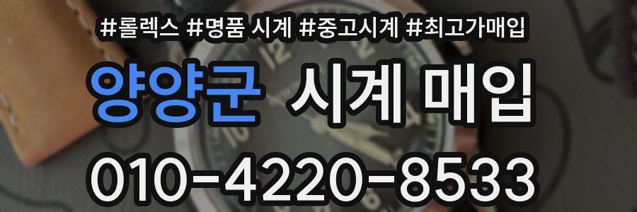 양양군 시계 매입