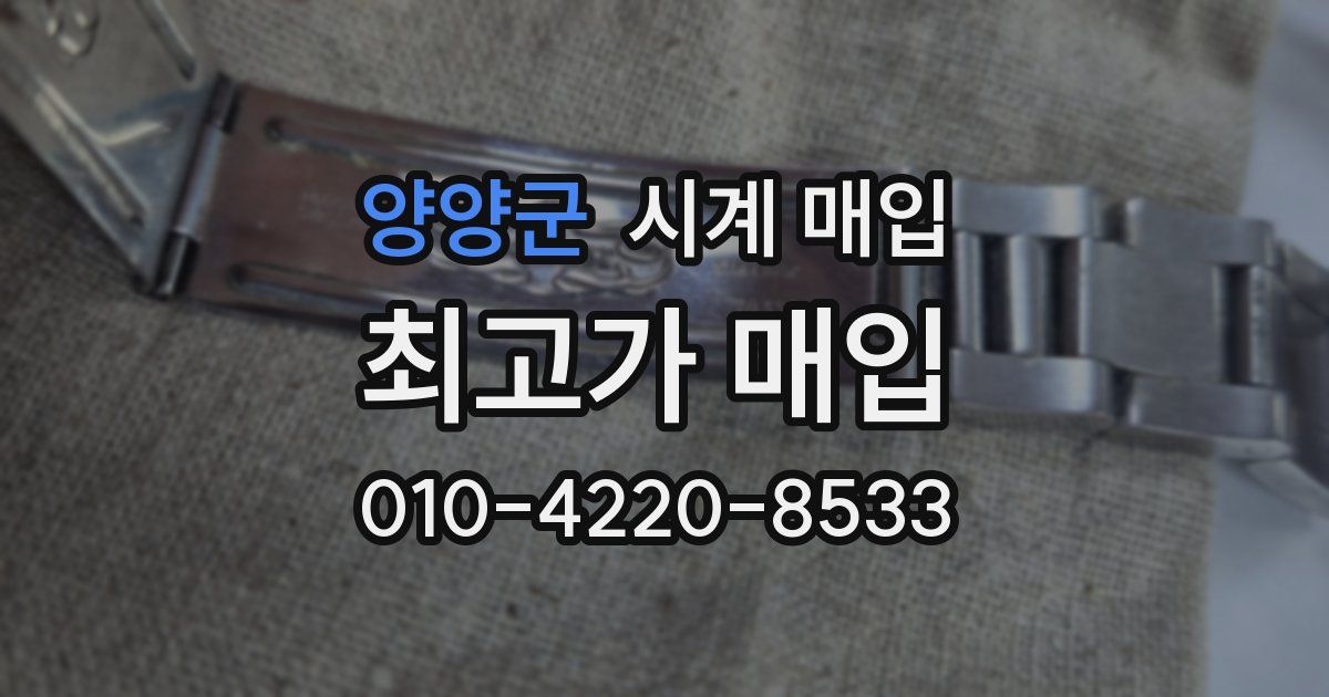 양양군 시계 매입