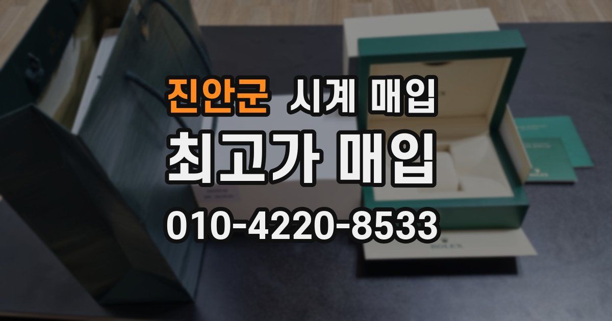 진안군 시계 매입