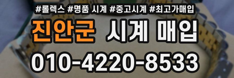 진안군 시계 매입