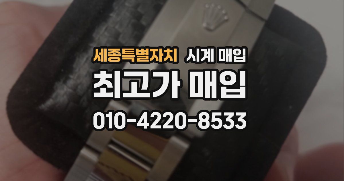 세종특별자치 시계 매입