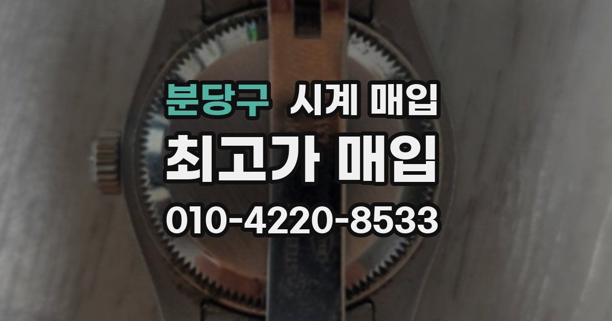 분당구 시계 매입
