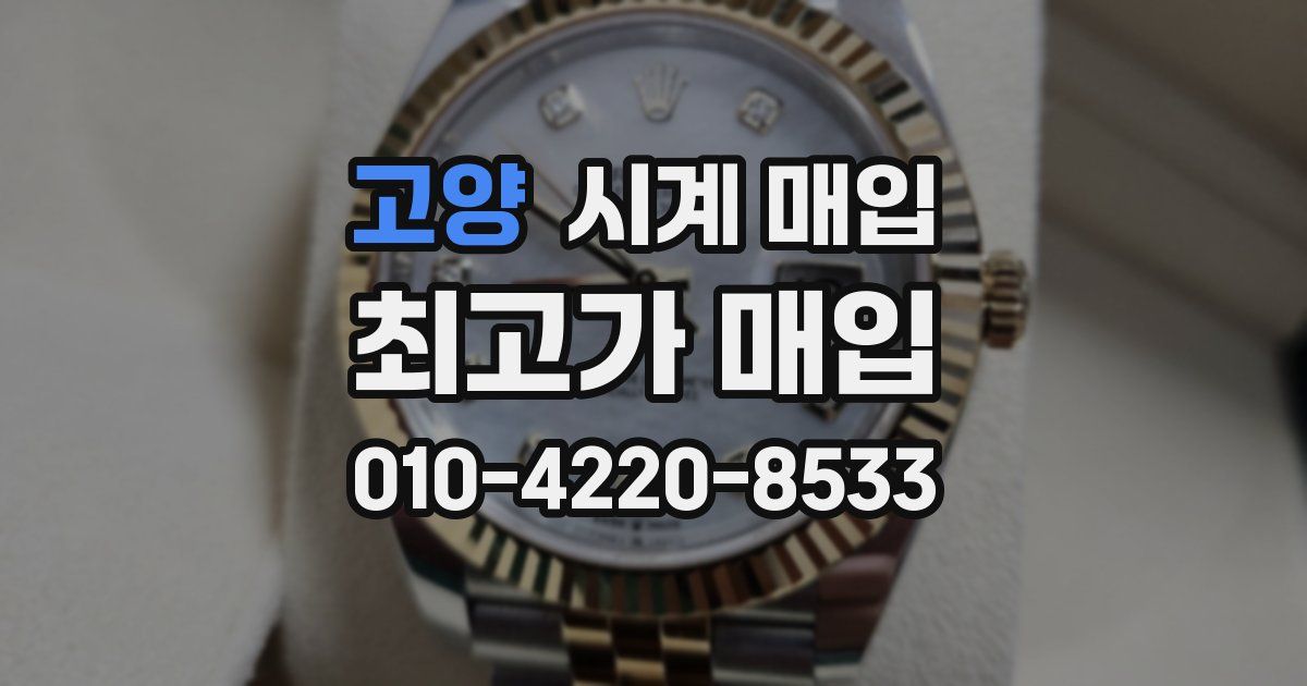 고양 시계 매입