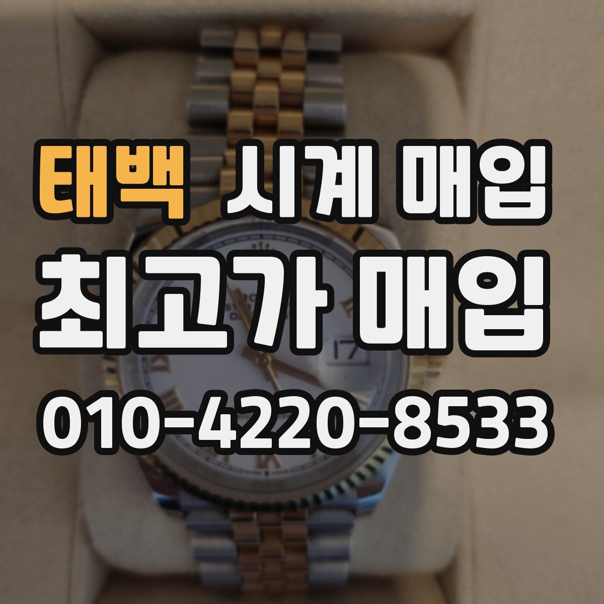 태백 시계 매입