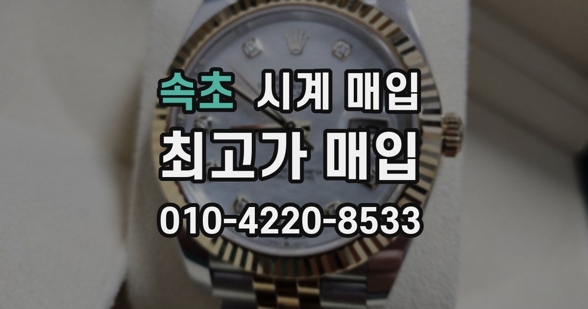 속초 시계 매입