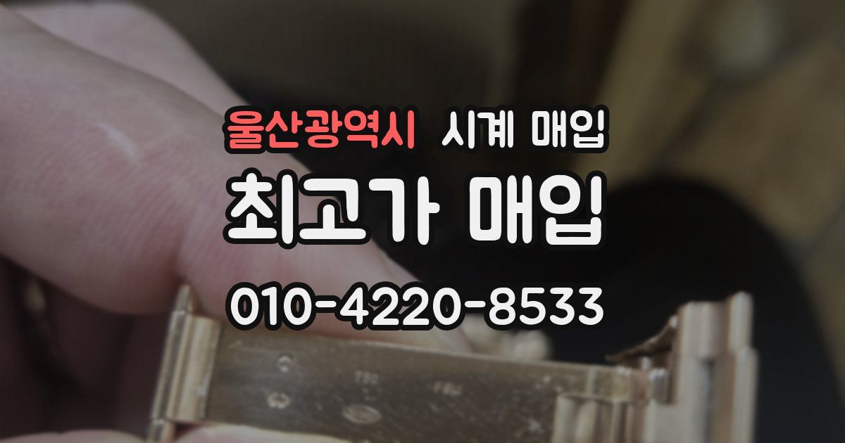 울산광역시 시계 매입