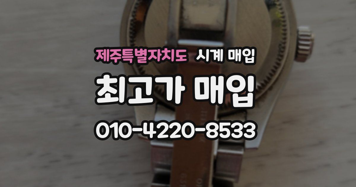 제주특별자치도 시계 매입
