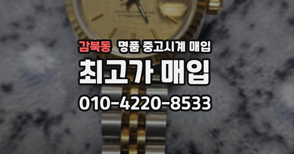감북동 명품 중고시계 매입