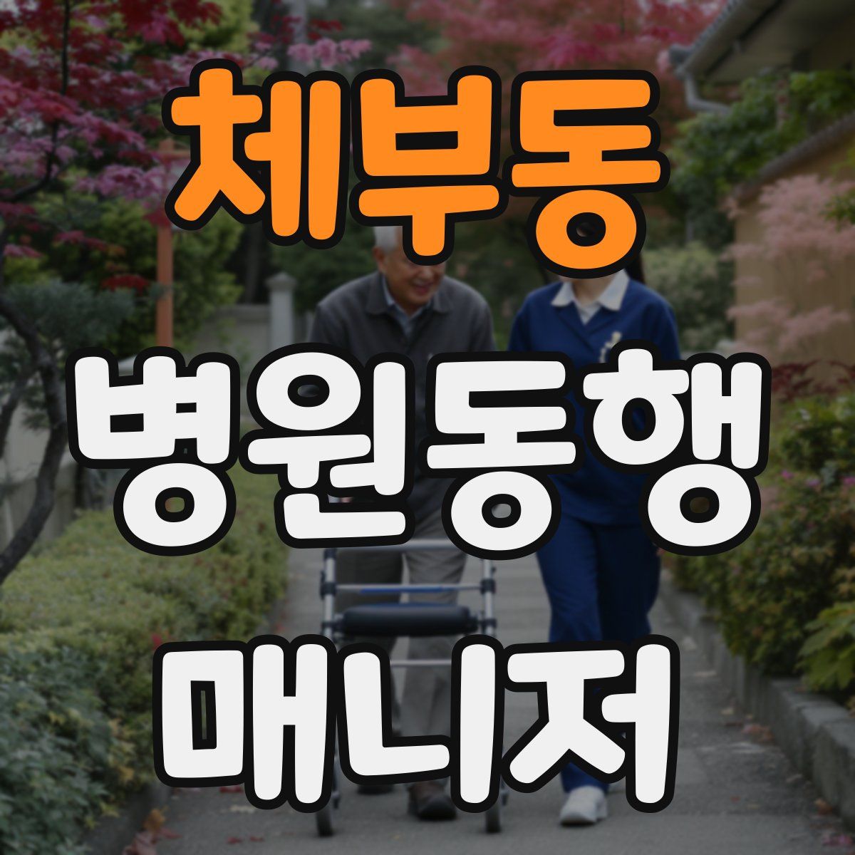 체부동 병원동행매니저 자격증