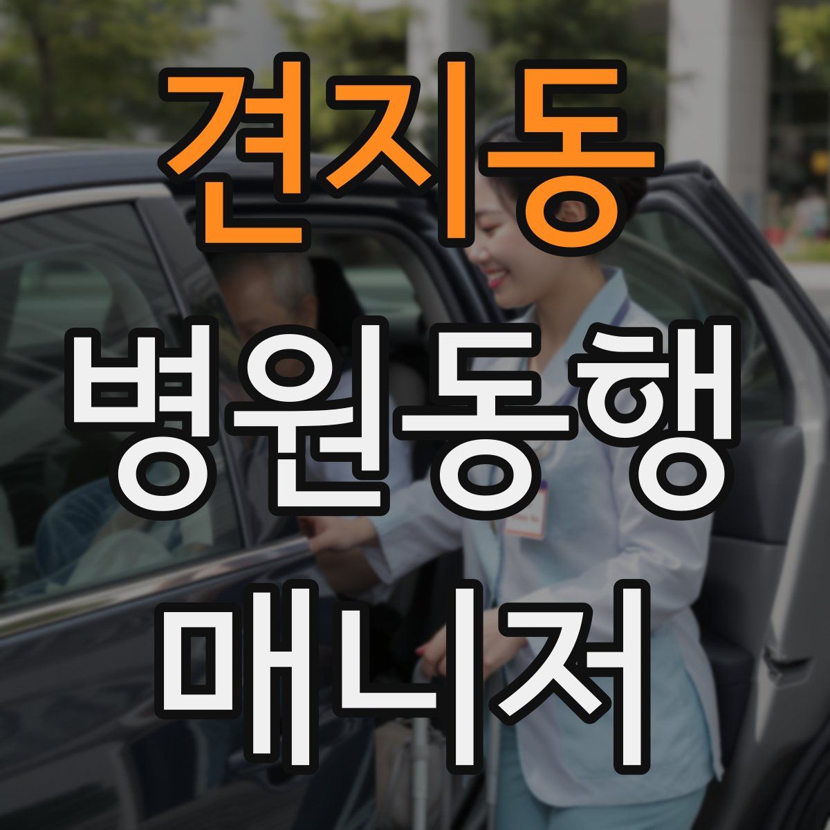 견지동 병원동행매니저 자격증