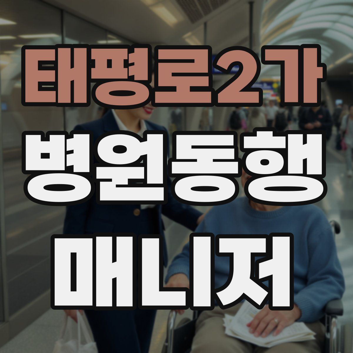 태평로2가 병원동행매니저 자격증