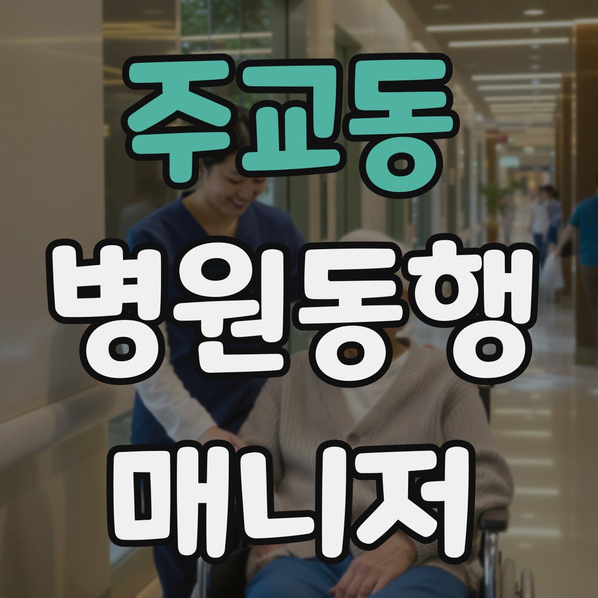 주교동 병원동행매니저 자격증
