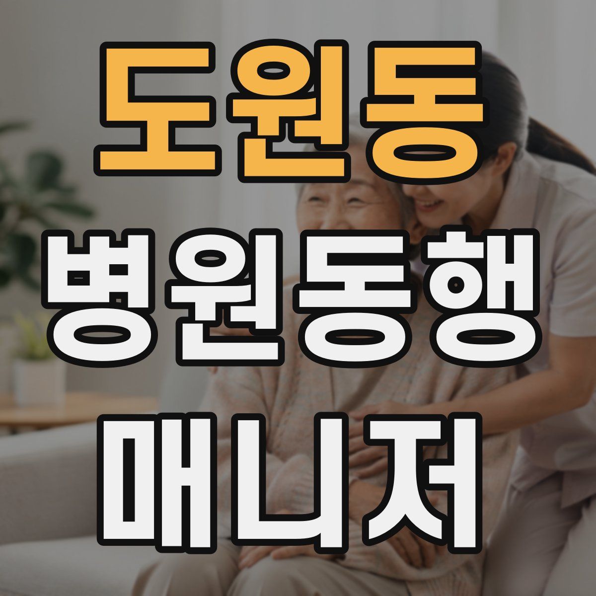 도원동 병원동행매니저 자격증