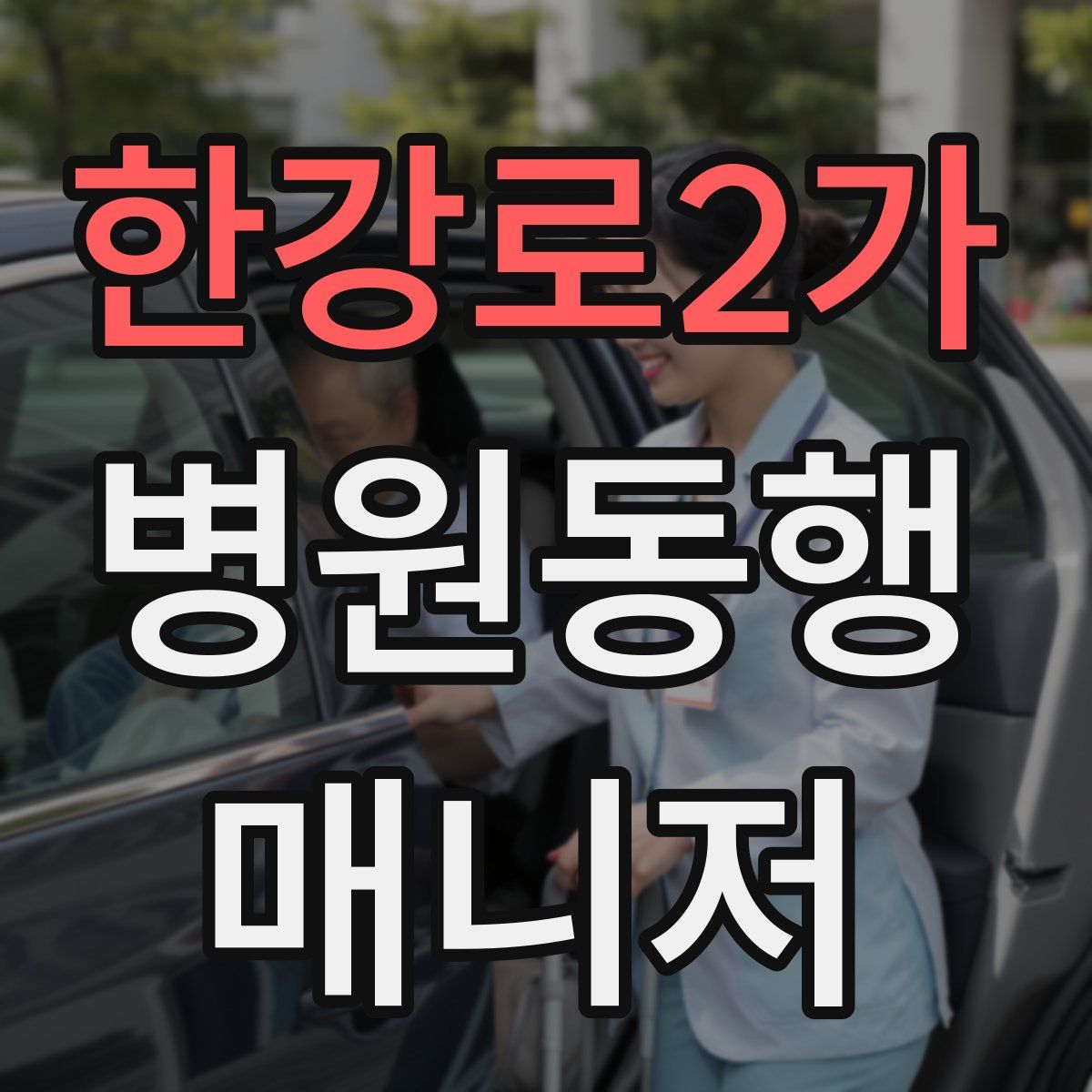 한강로2가 병원동행매니저 자격증