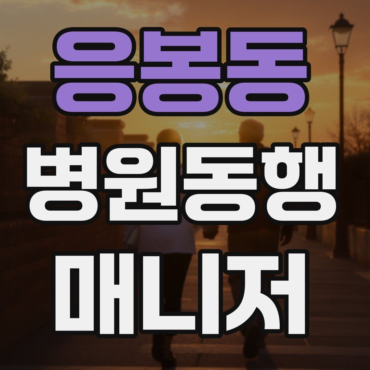 응봉동 병원동행매니저 자격증 친절만으로는 부족한 이유와 전문성