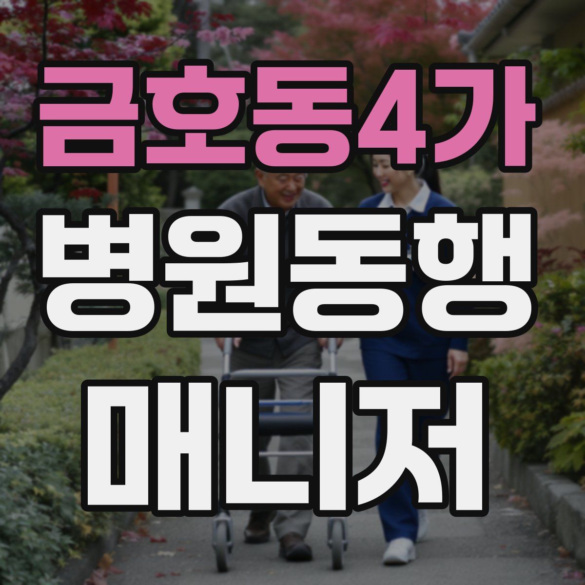금호동4가 병원동행매니저 자격증