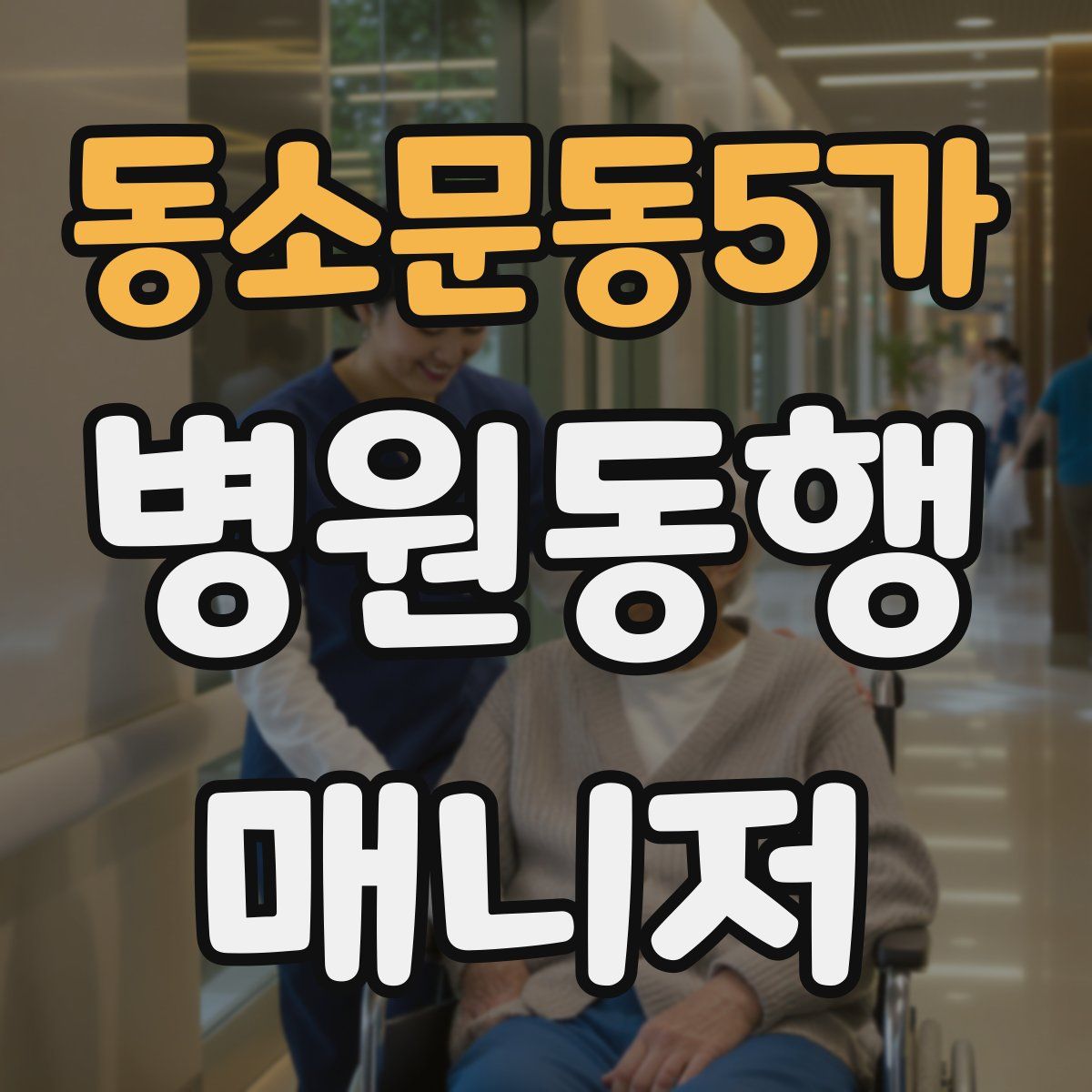 동소문동5가 병원동행매니저 자격증