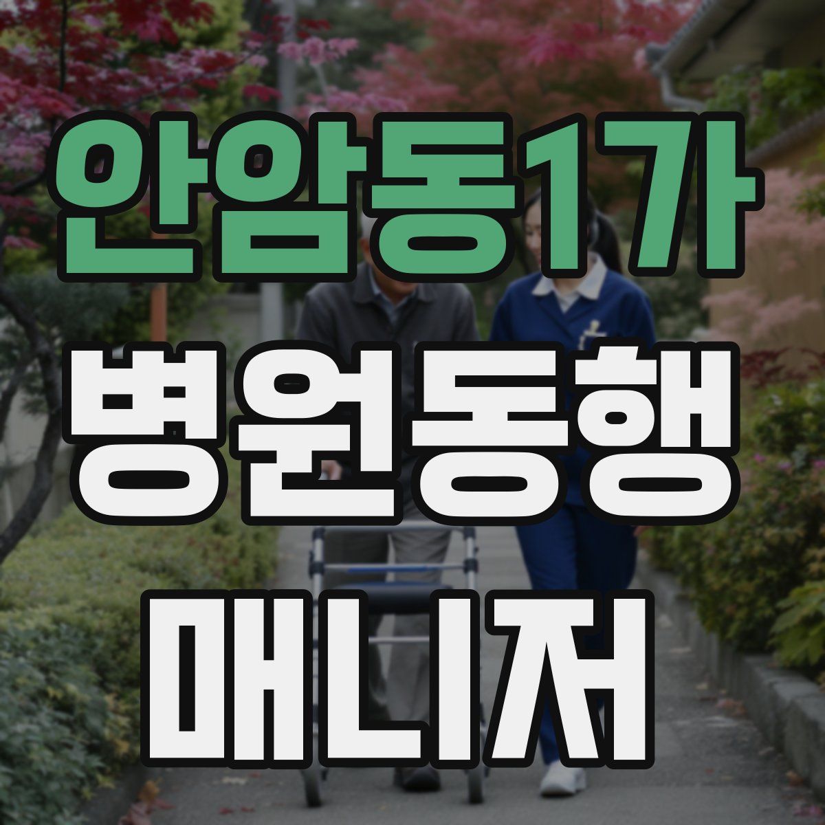 안암동1가 병원동행매니저 자격증