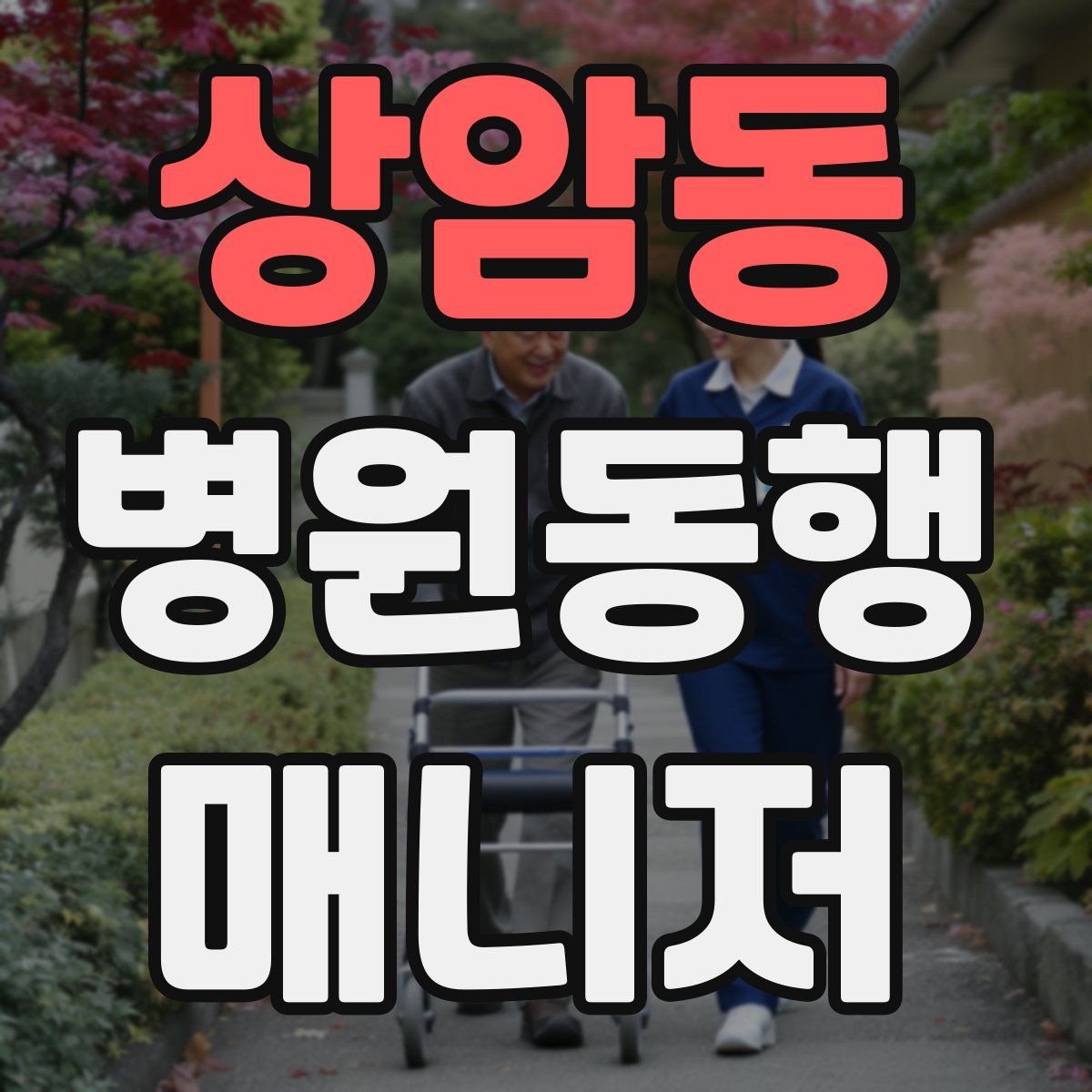 상암동 병원동행매니저 자격증