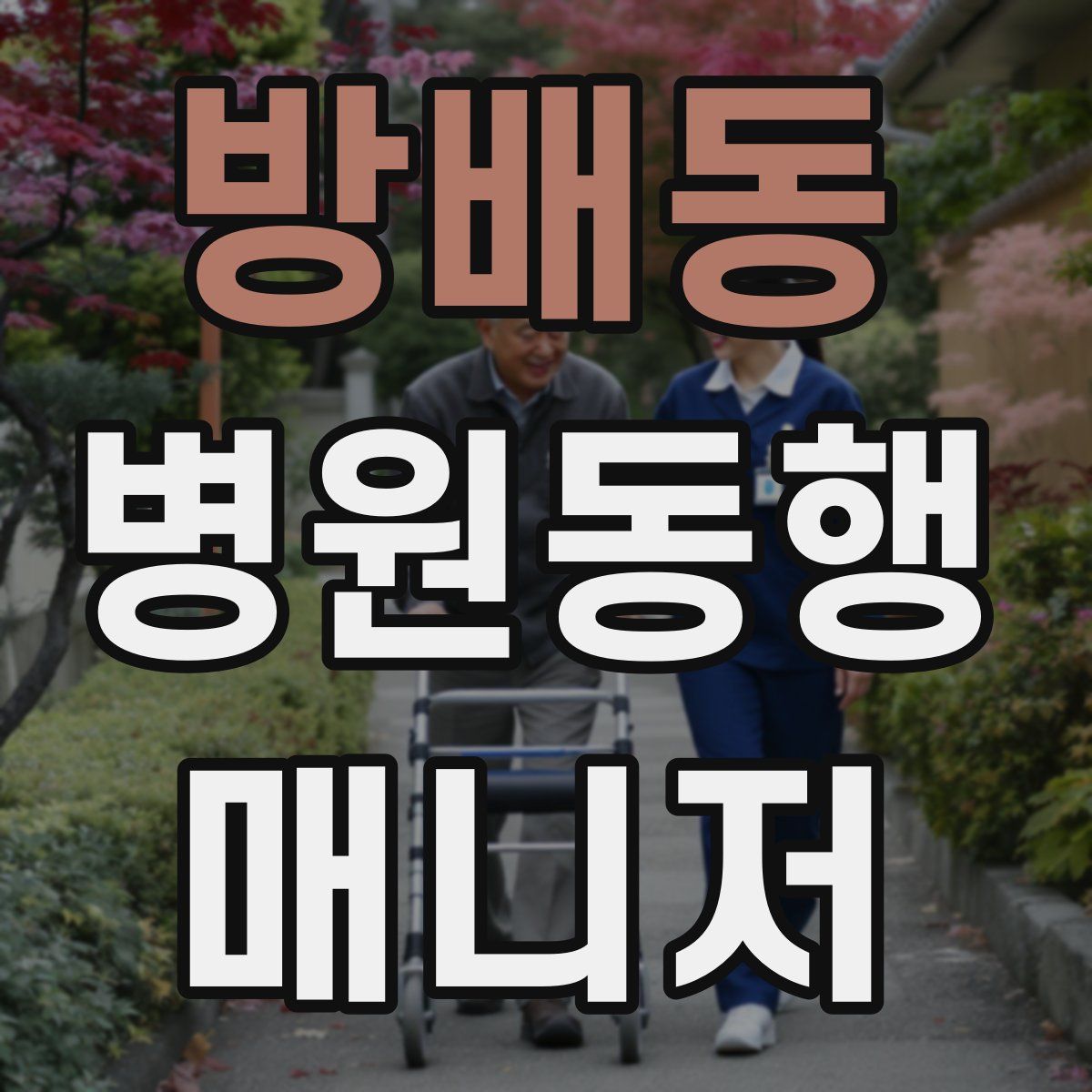 방배동 병원동행매니저 자격증