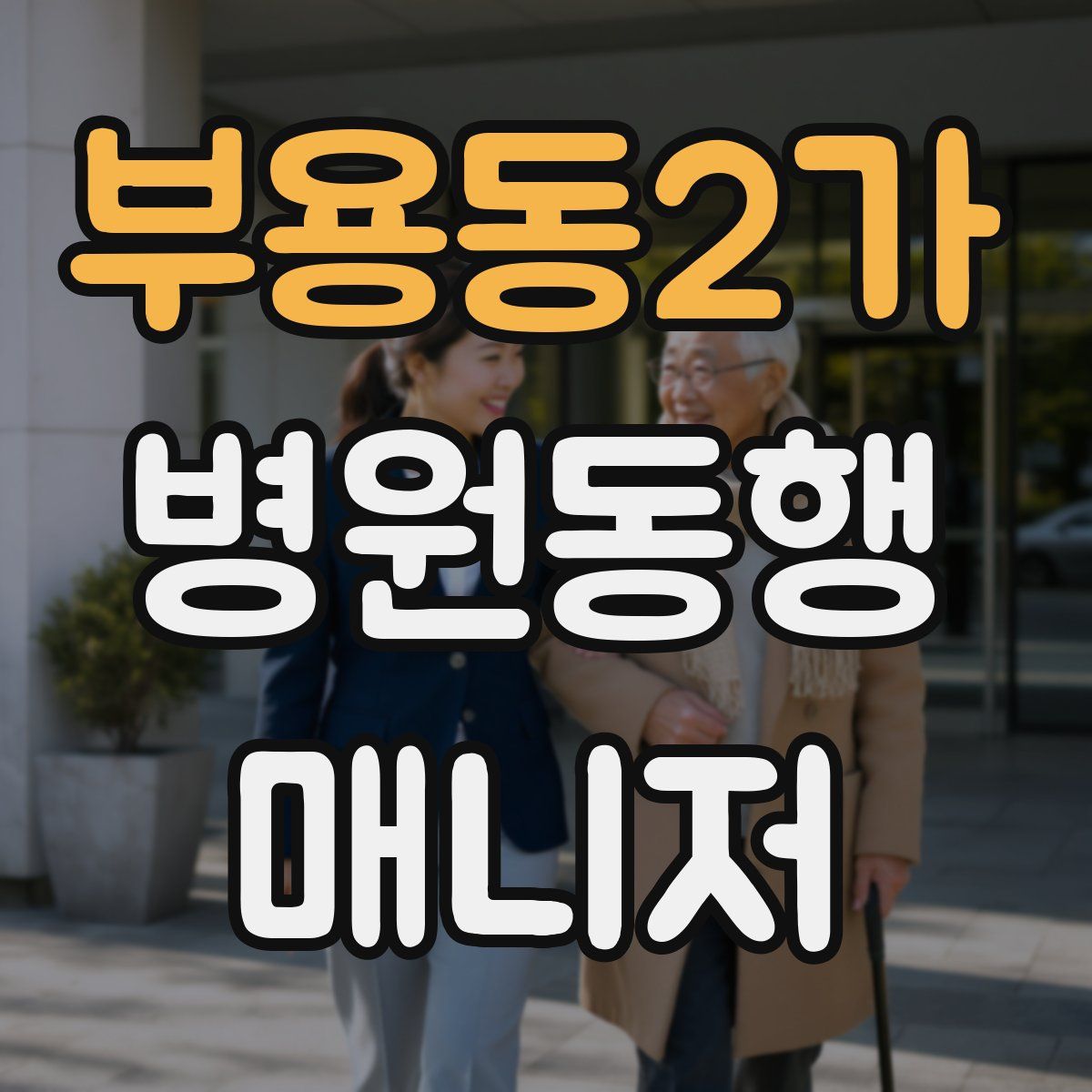 부용동2가 병원동행매니저 자격증