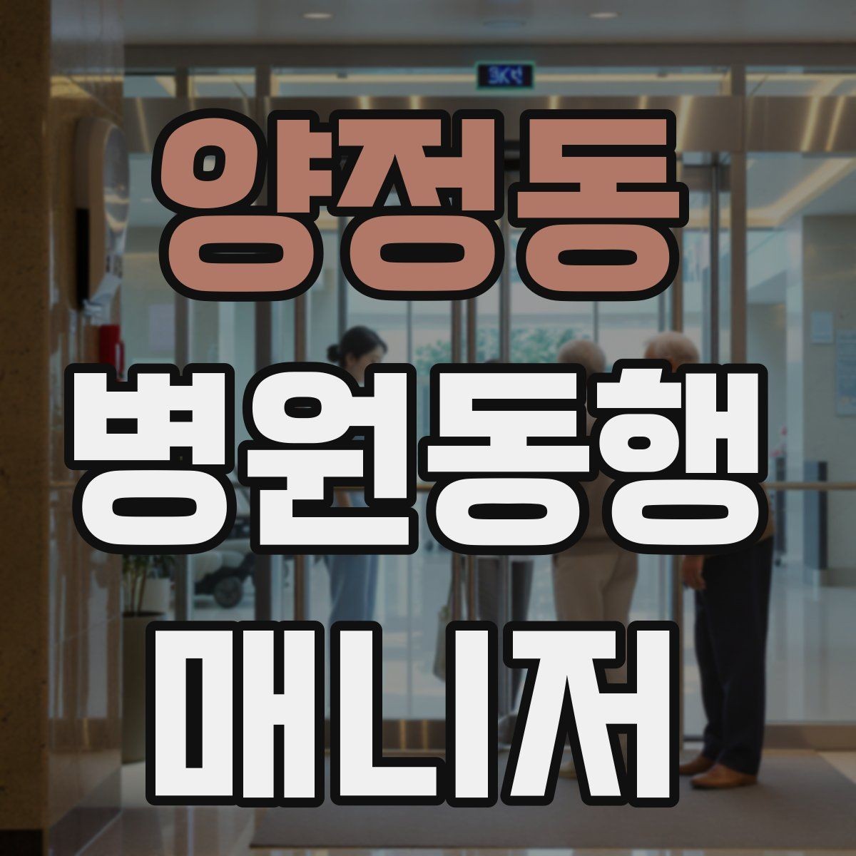 양정동 병원동행매니저 자격증 의료행위와 구분해야 하는 이유