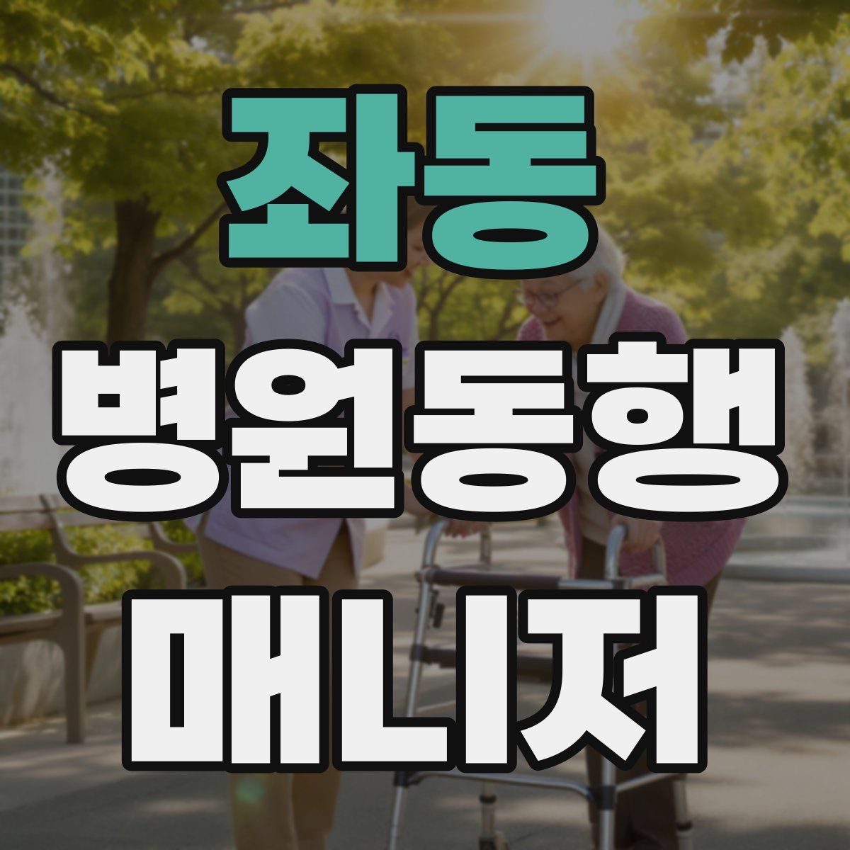 좌동 병원동행매니저 자격증