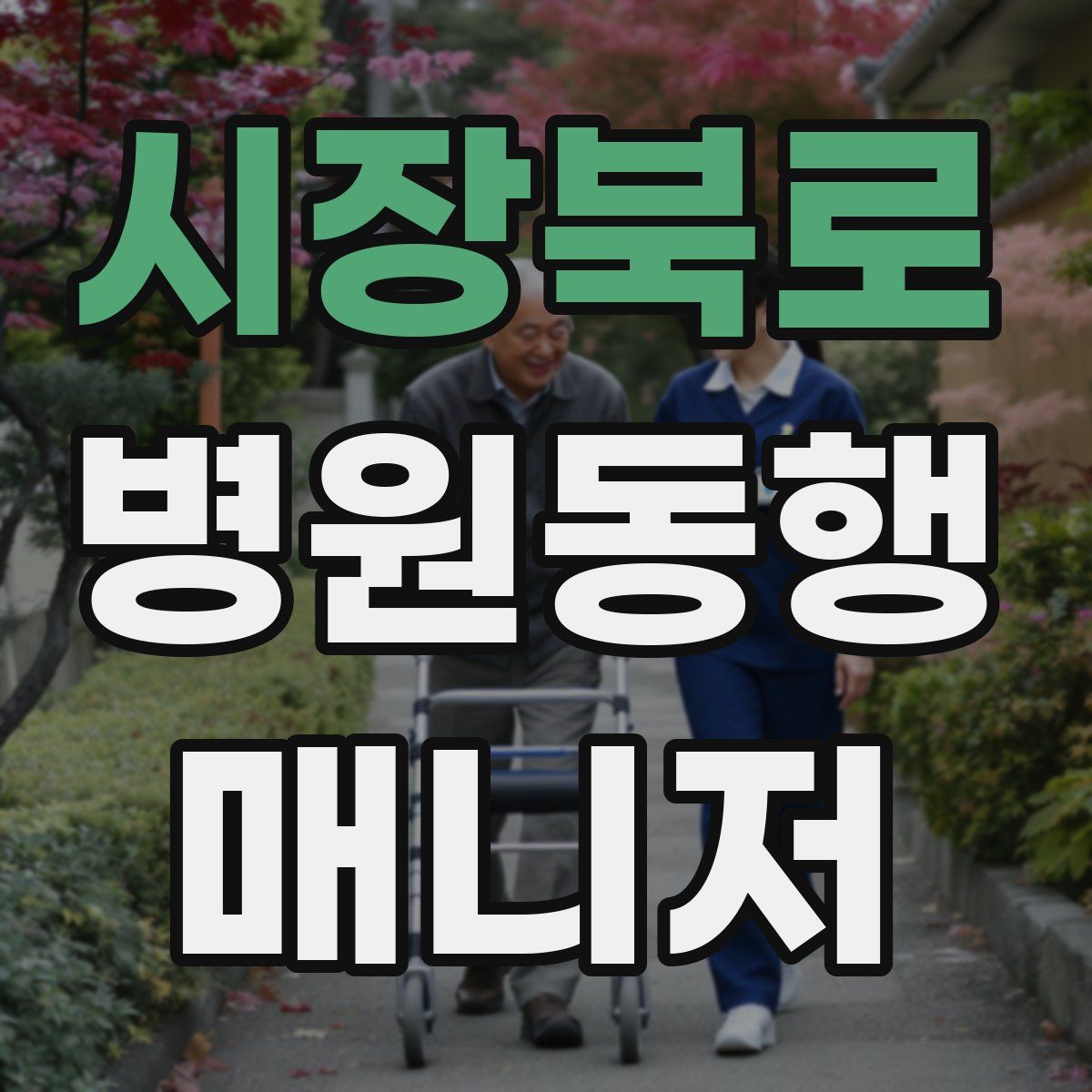 시장북로 병원동행매니저 자격증