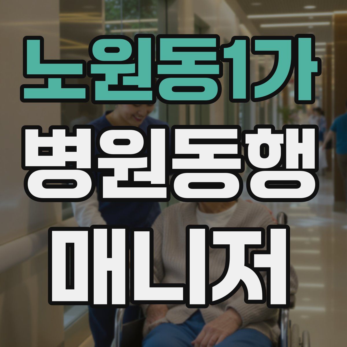 노원동1가 병원동행매니저 자격증