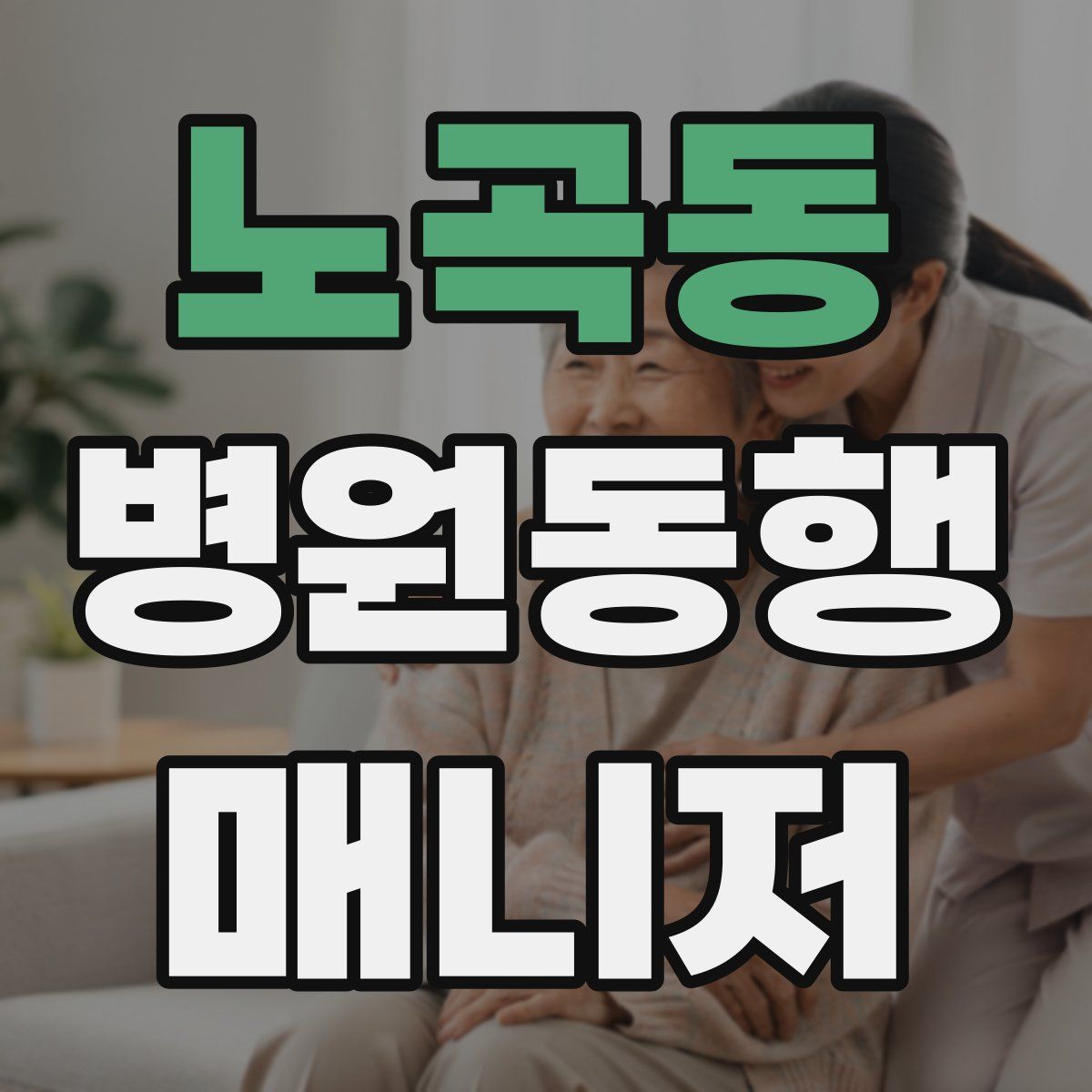 노곡동 병원동행매니저 자격증