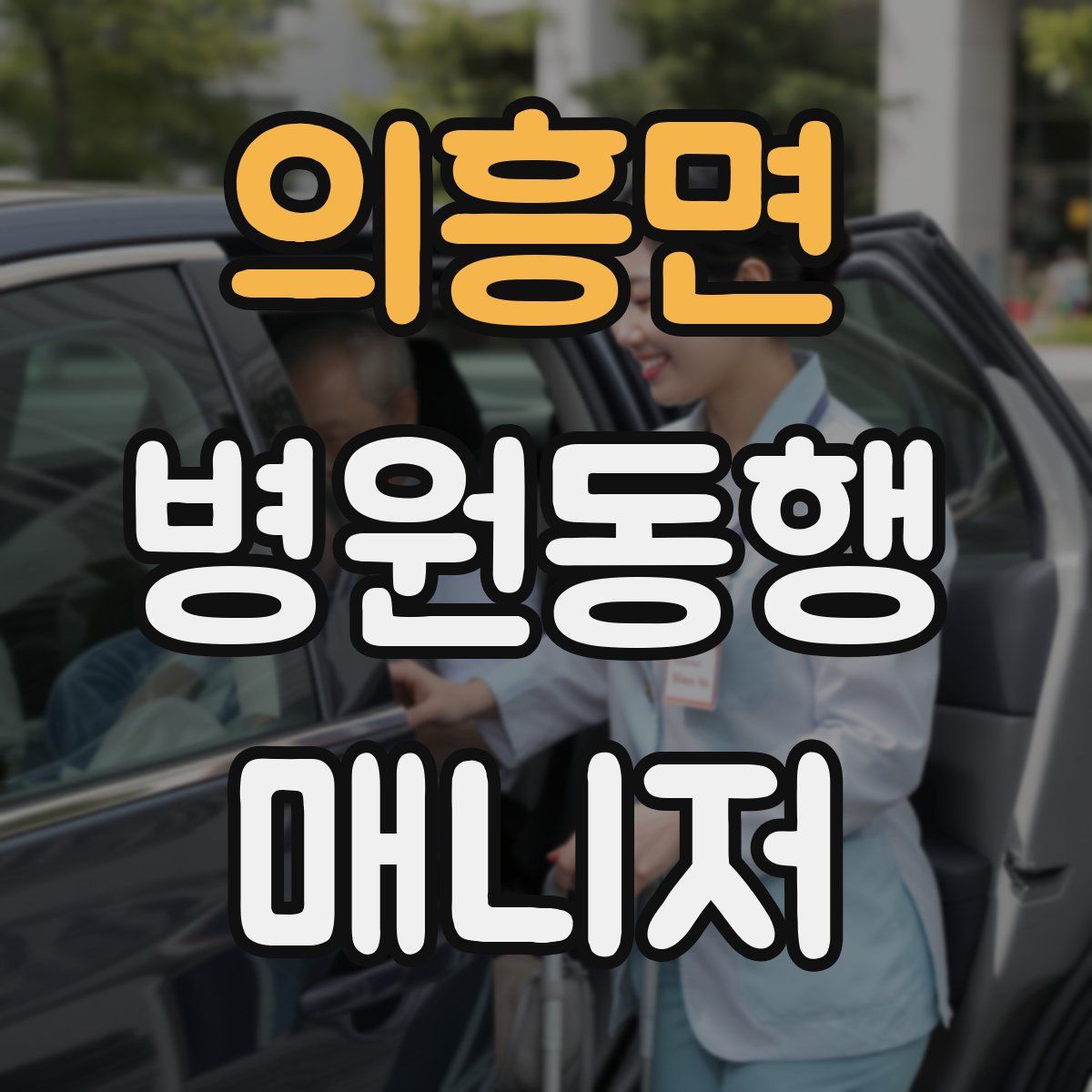 의흥면 병원동행매니저 자격증