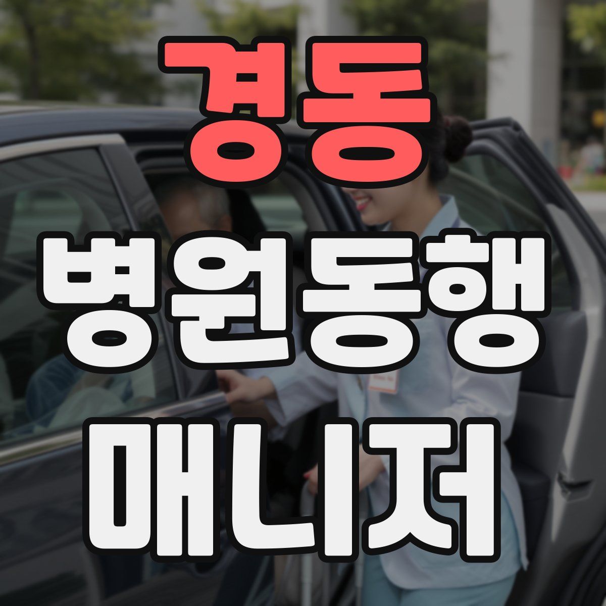 경동 병원동행매니저 자격증