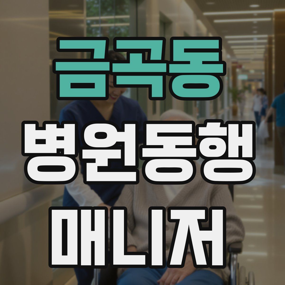 금곡동 병원동행매니저 자격증