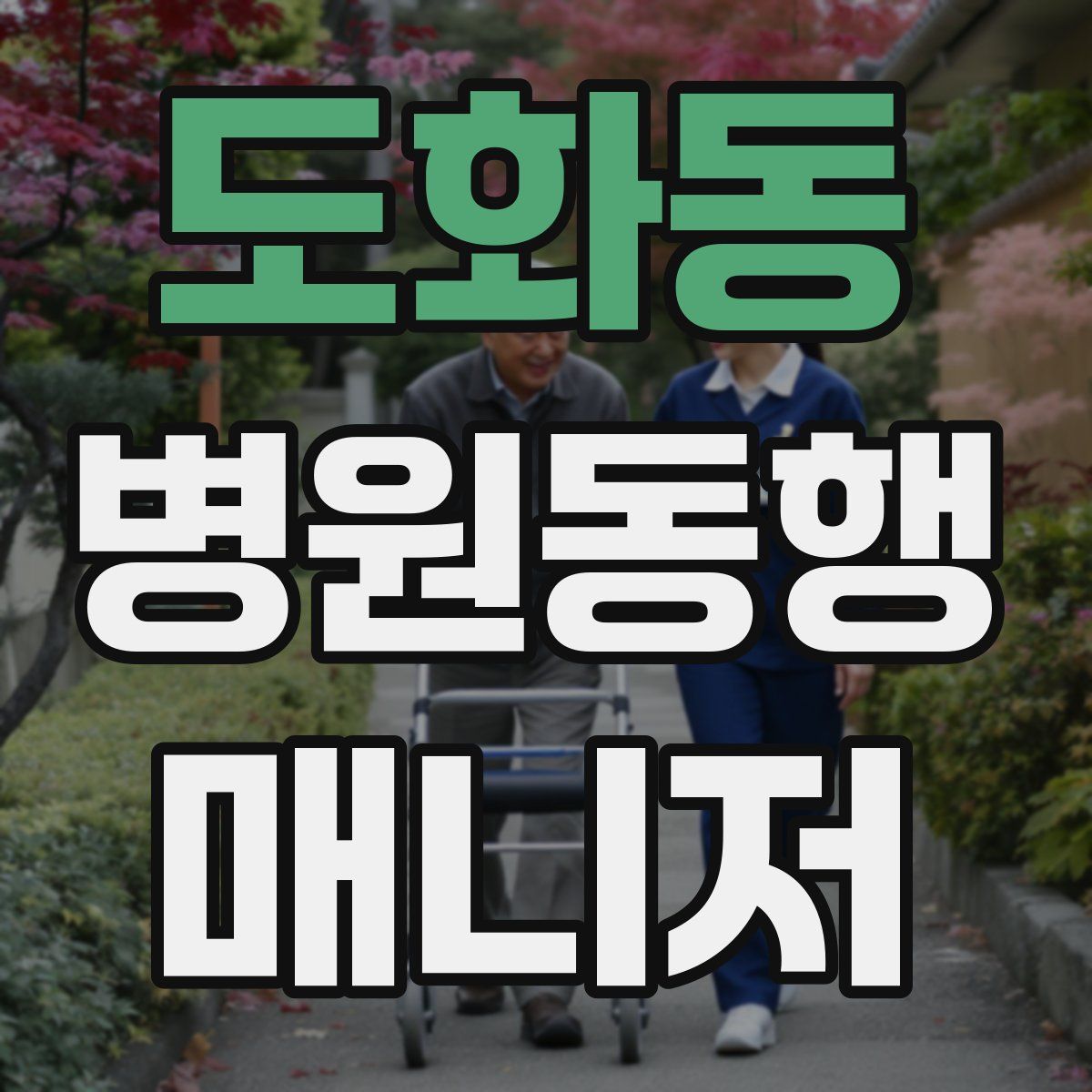 도화동 병원동행매니저 자격증