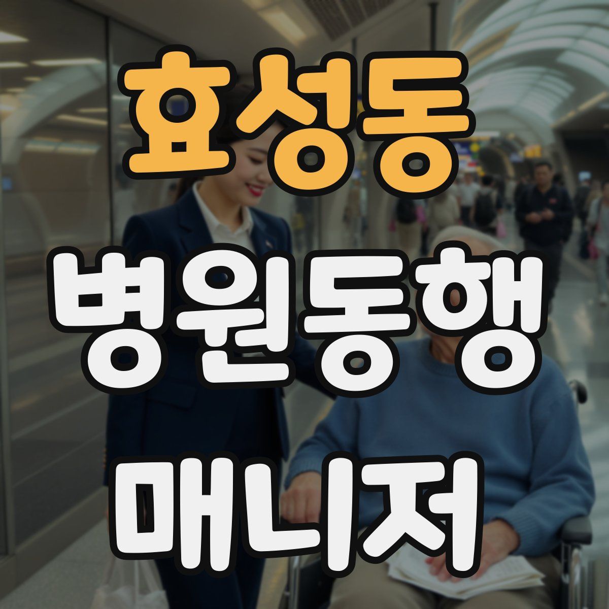 효성동 병원동행매니저 자격증