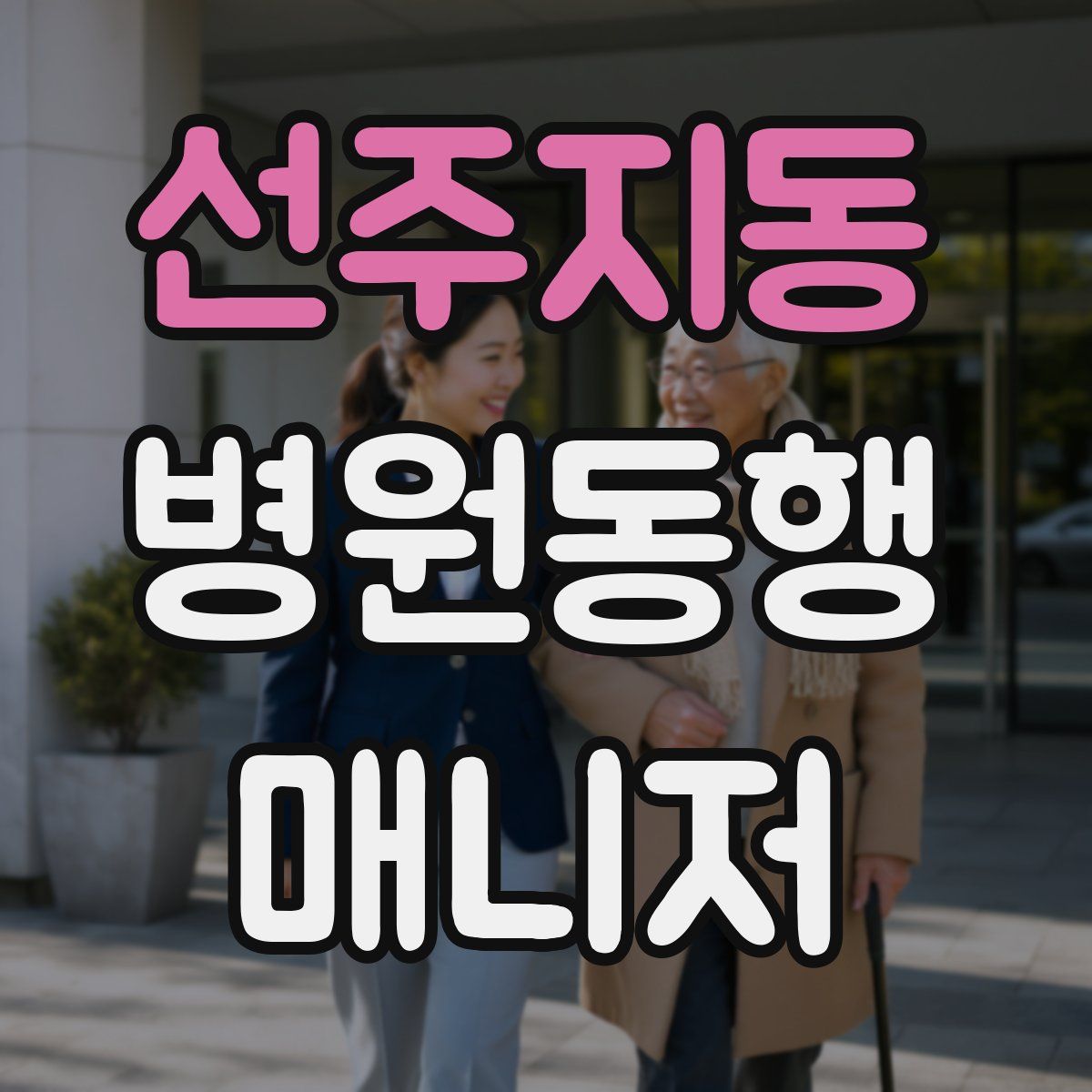 선주지동 병원동행매니저 자격증