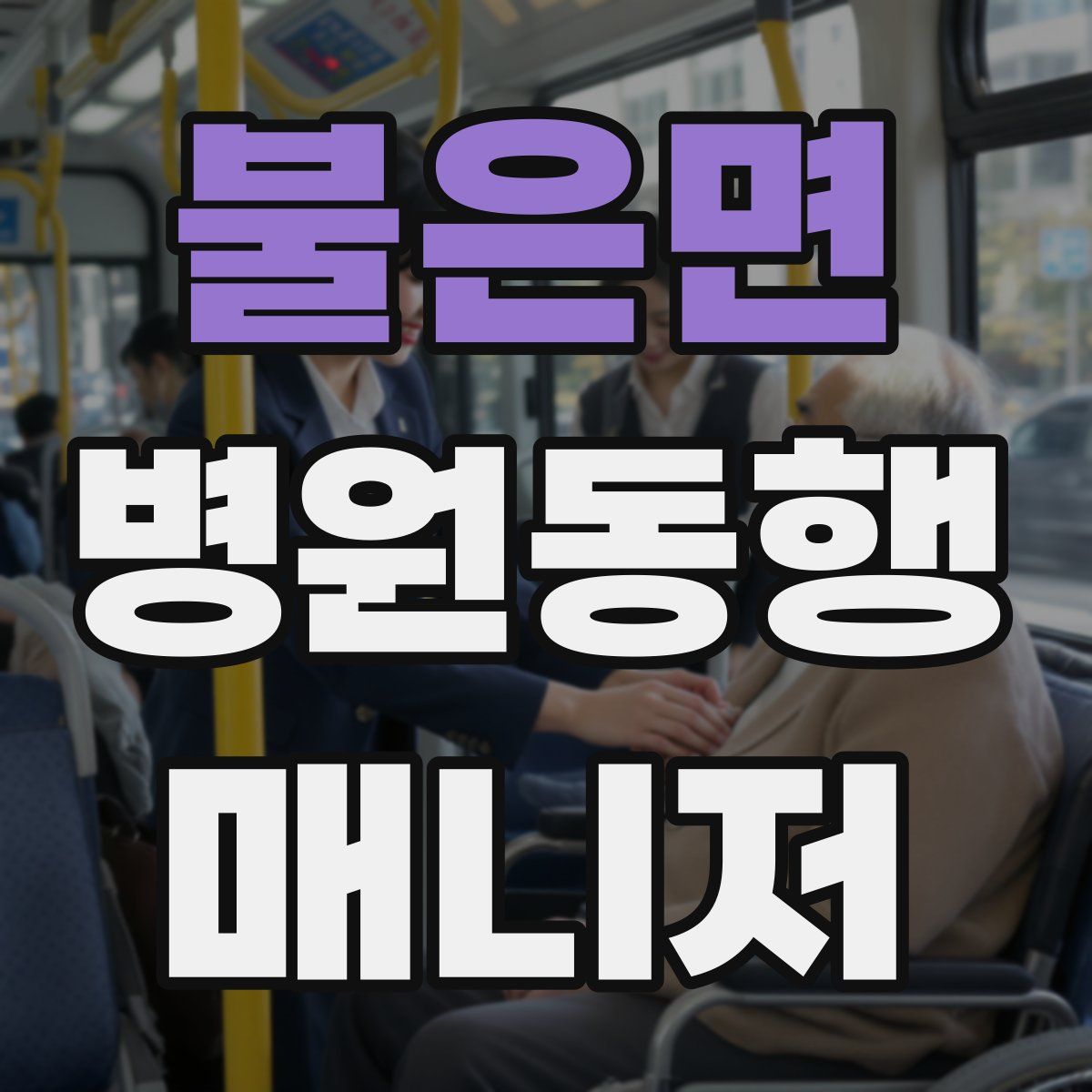 불은면 병원동행매니저 자격증