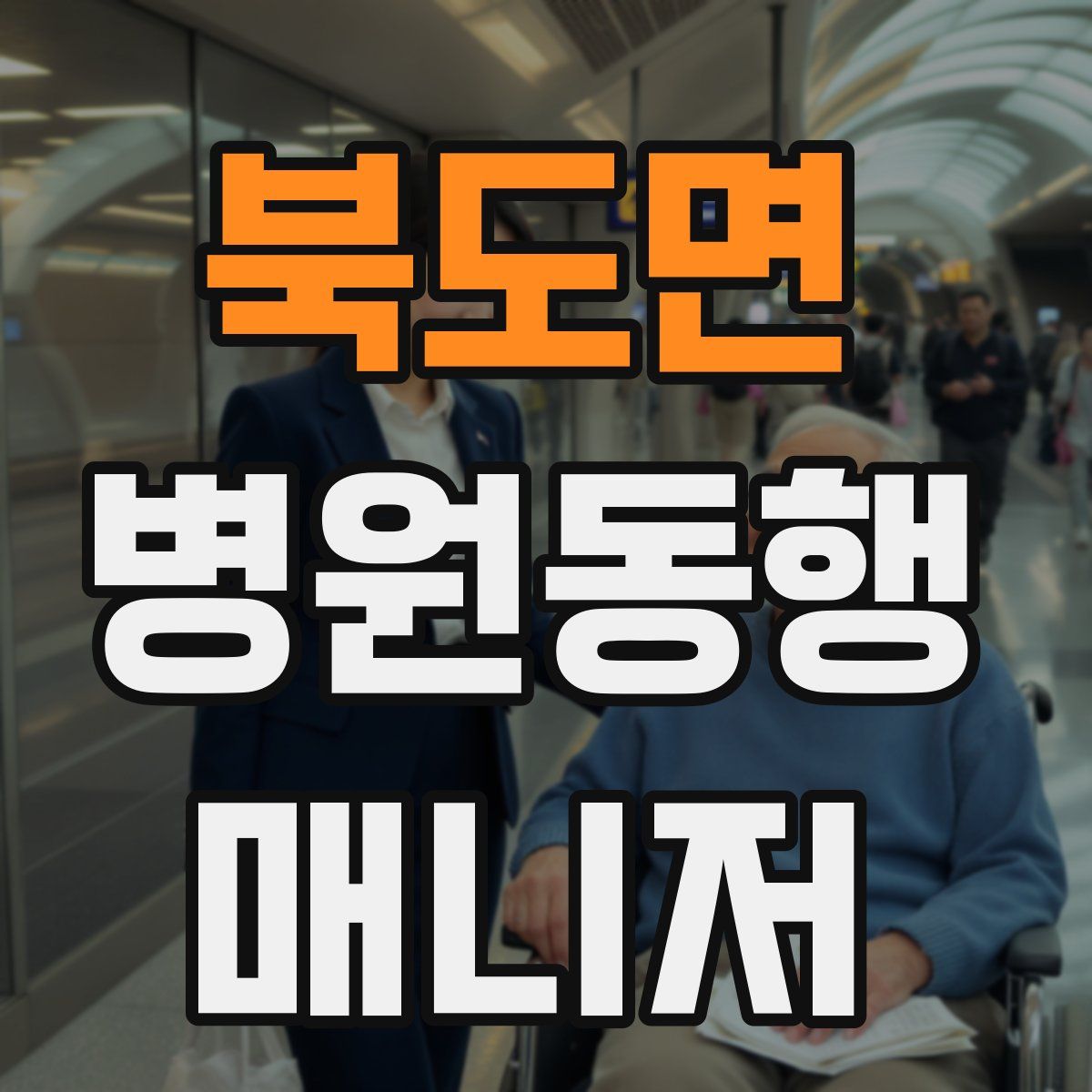 북도면 병원동행매니저 자격증