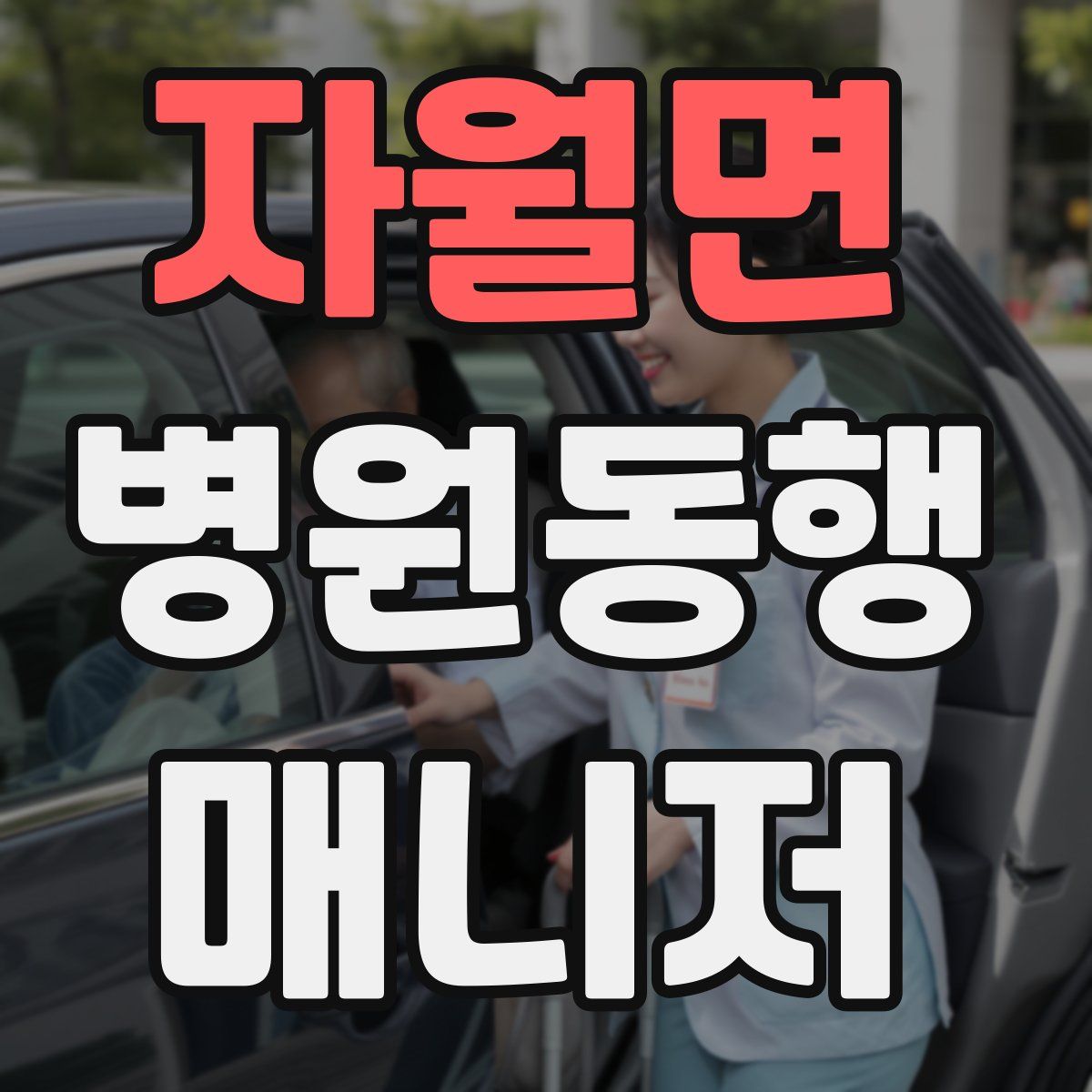 자월면 병원동행매니저 자격증