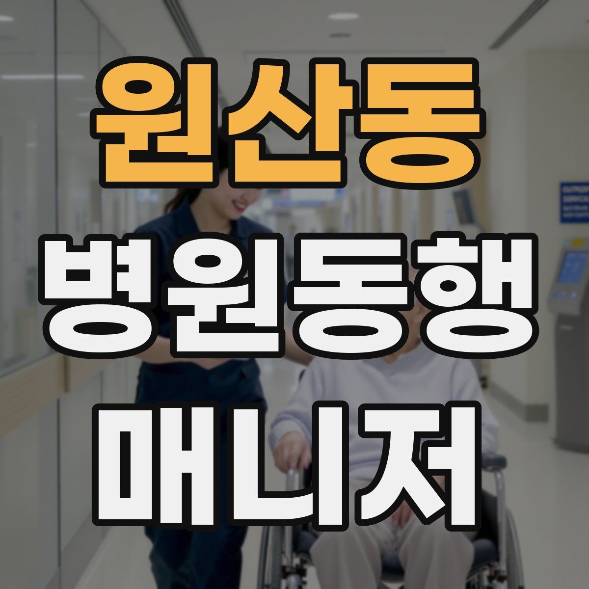 원산동 병원동행매니저 자격증