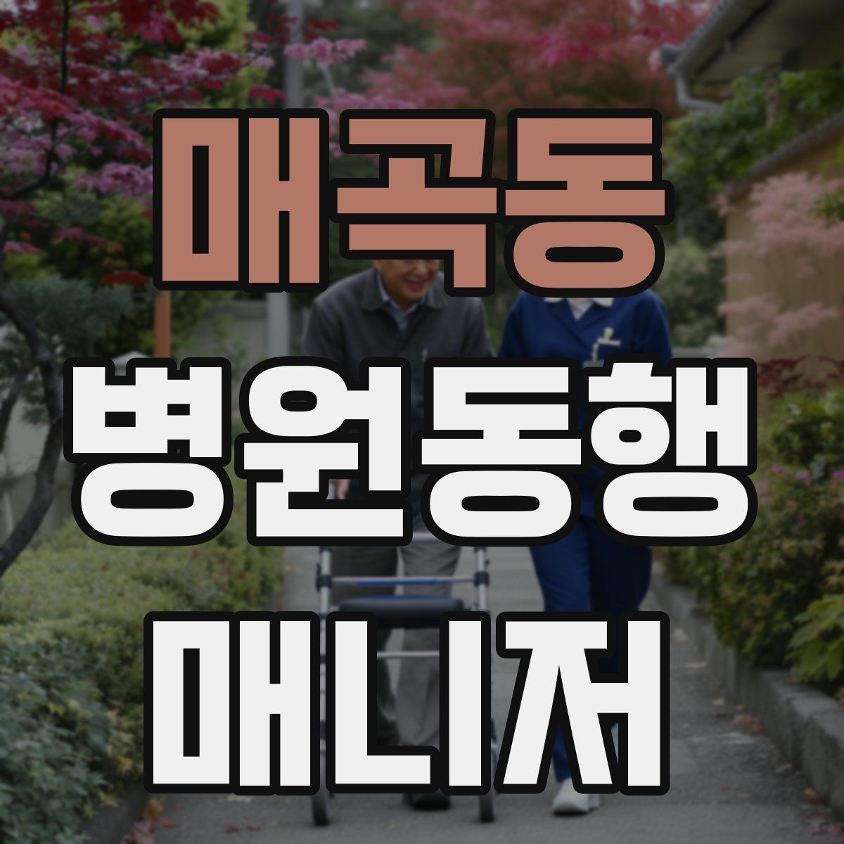 매곡동 병원동행매니저 자격증