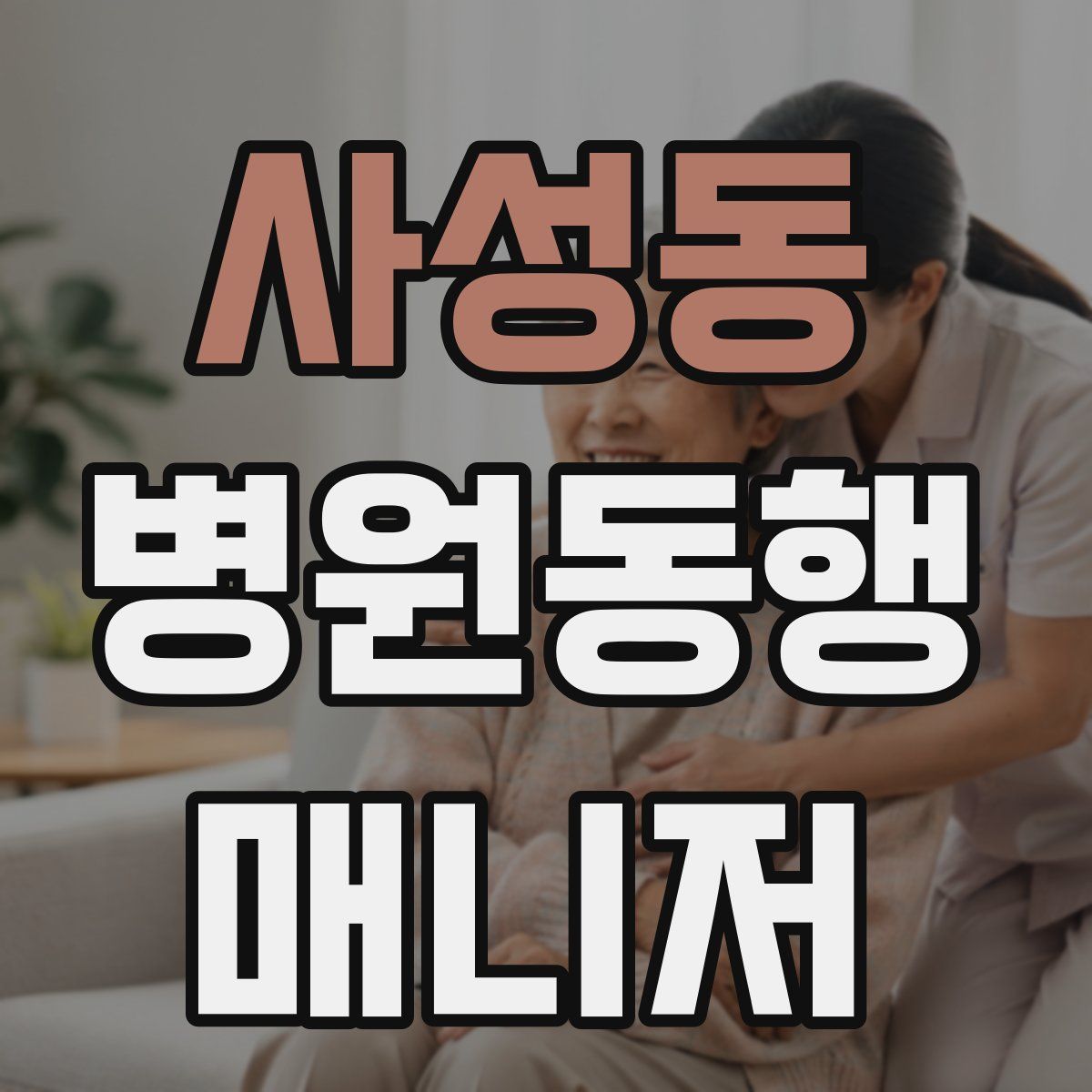 사성동 병원동행매니저 자격증