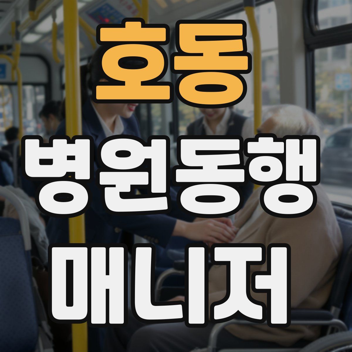 호동 병원동행매니저 자격증