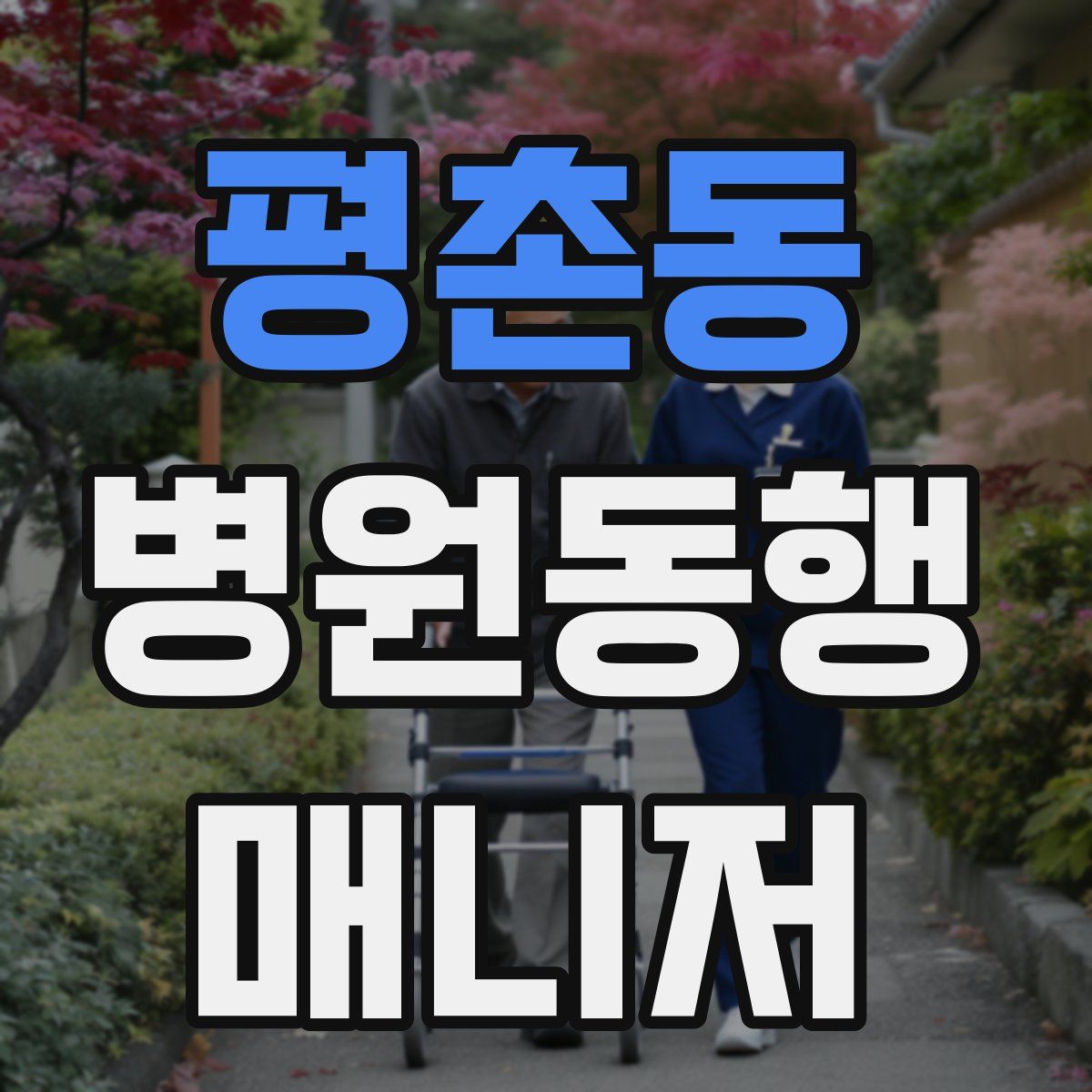 평촌동 병원동행매니저 자격증