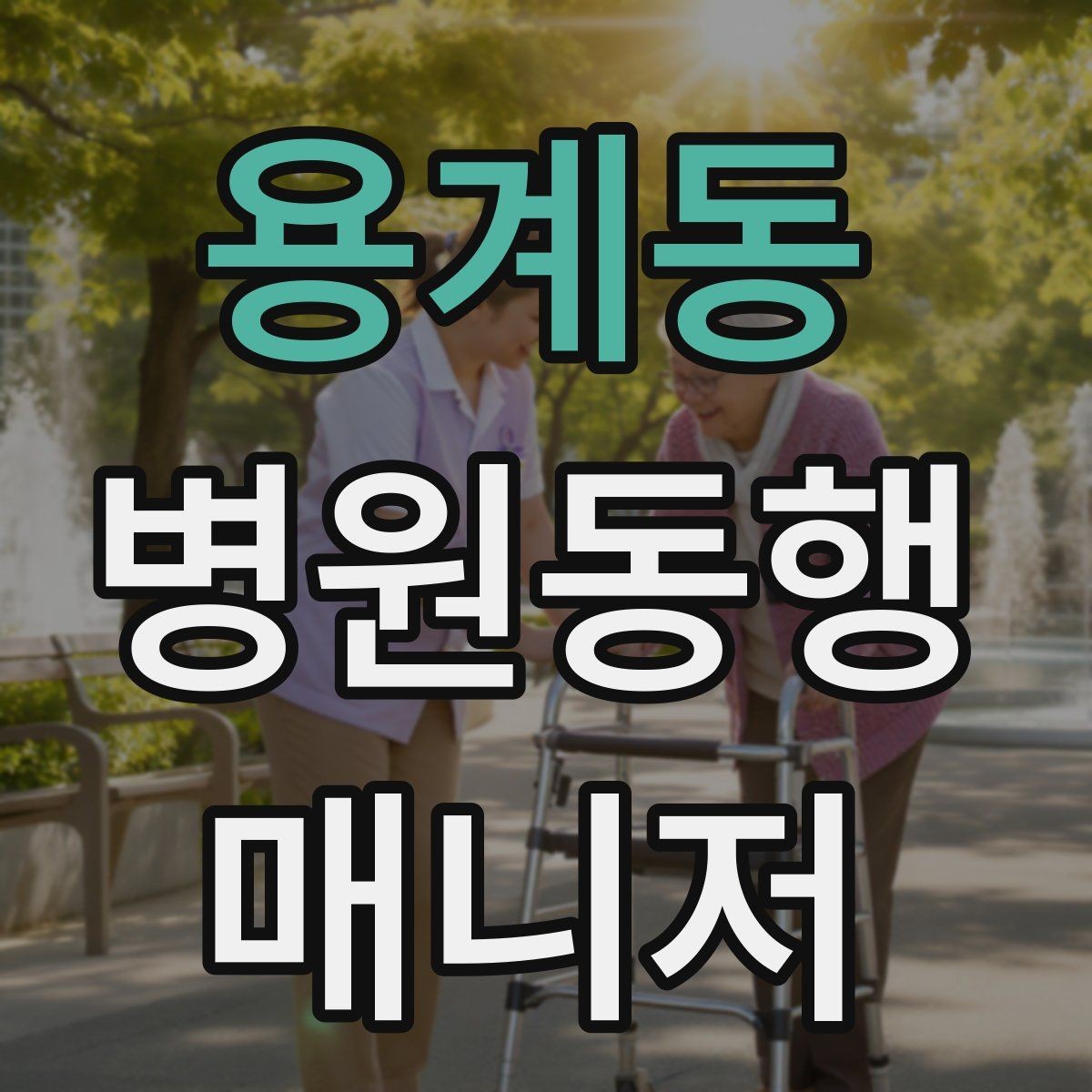 용계동 병원동행매니저 자격증 일정 관리 앱 활용하면 좋은 이유
