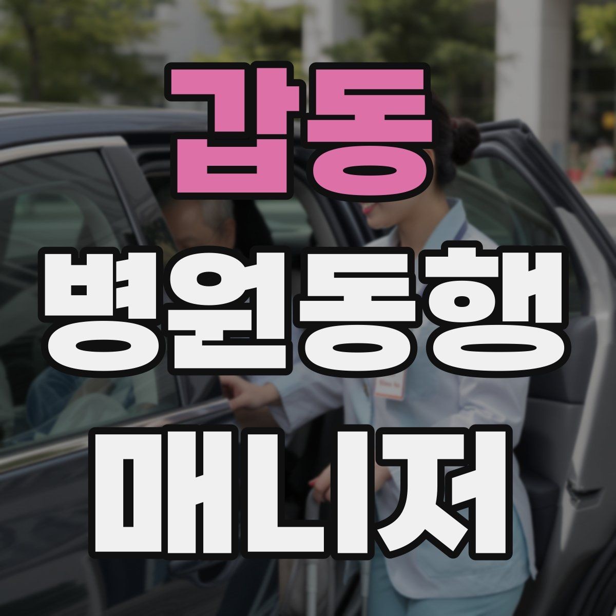 갑동 병원동행매니저 자격증 서비스 범위와 한계를 정리해보기