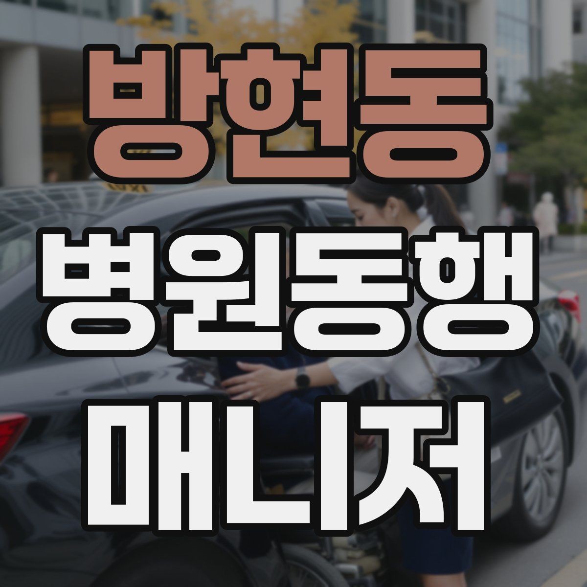 방현동 병원동행매니저 자격증 자차 동행이 포함될 때 주의사항