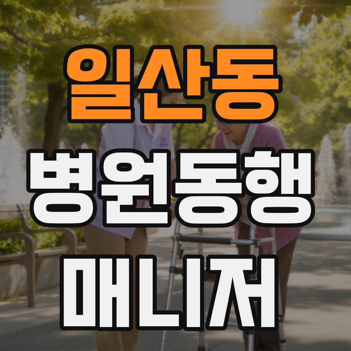 일산동 병원동행매니저 자격증